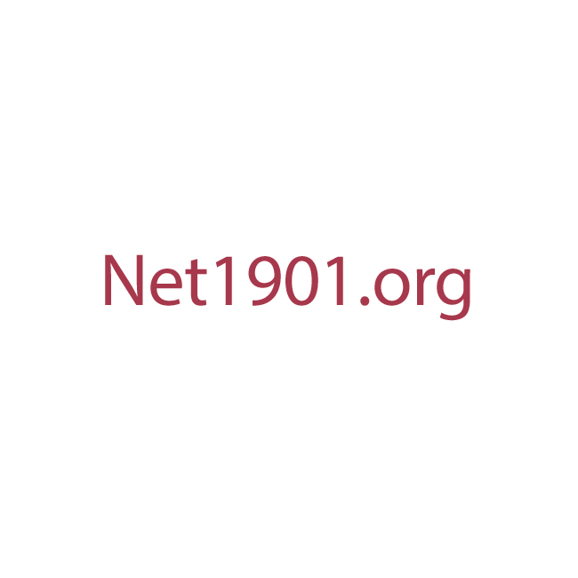 Net1901